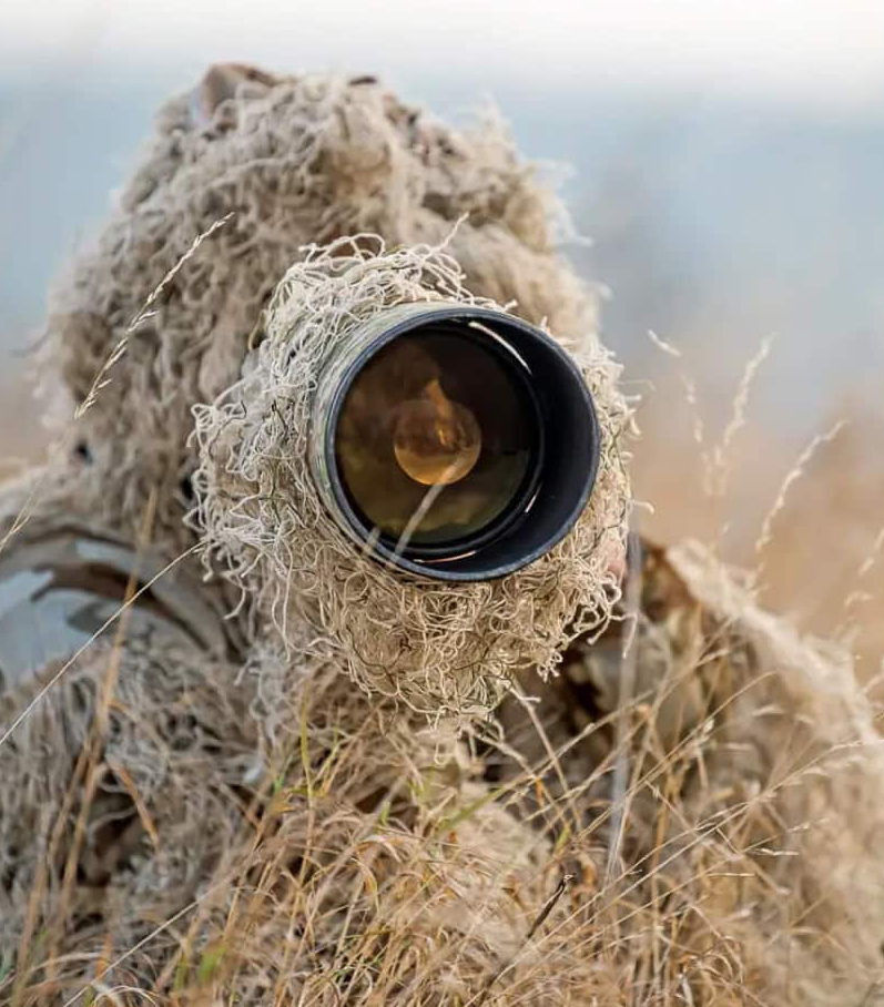 Castoldi Paolo ARTE Fotografia, Disegno, Scrittura, Gioielli, Opinioni Guida alla Fotografia Wildlife in Italia