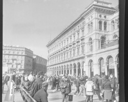 Fotocamera Zeiss Ikon Nettar 518/16 formato 6x6 - Pellicola BN Kodak 400TX