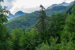 Paesaggio di montagna